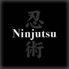 Ninjutsu