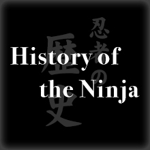 History of the Ninja