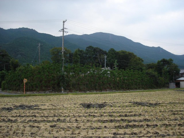 阿波館