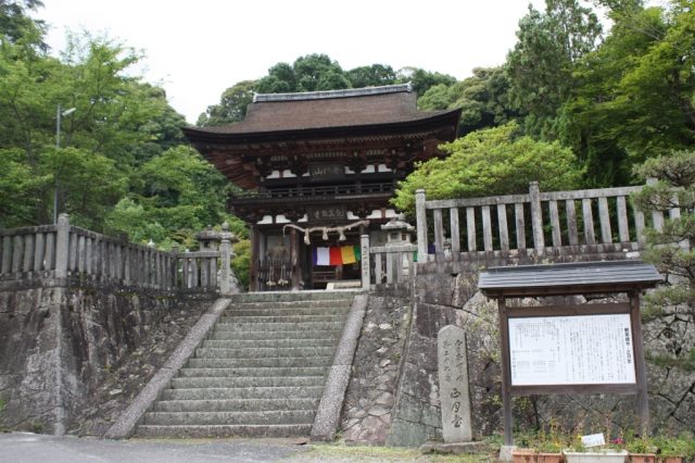 島ヶ原党