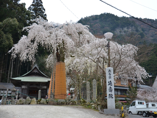 延寿院