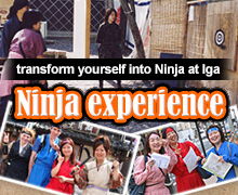 Ninja experience