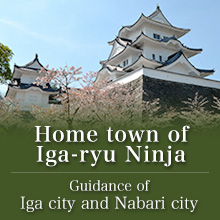 Home town of Iga-ryu Ninja